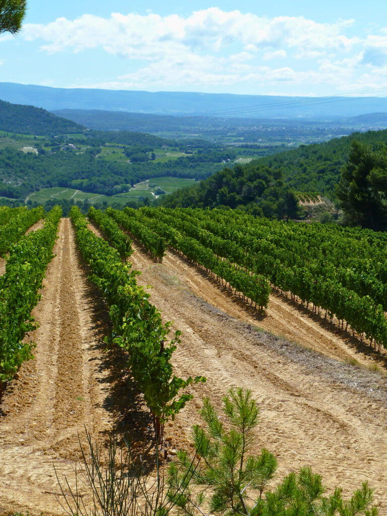 trias domaine de durban