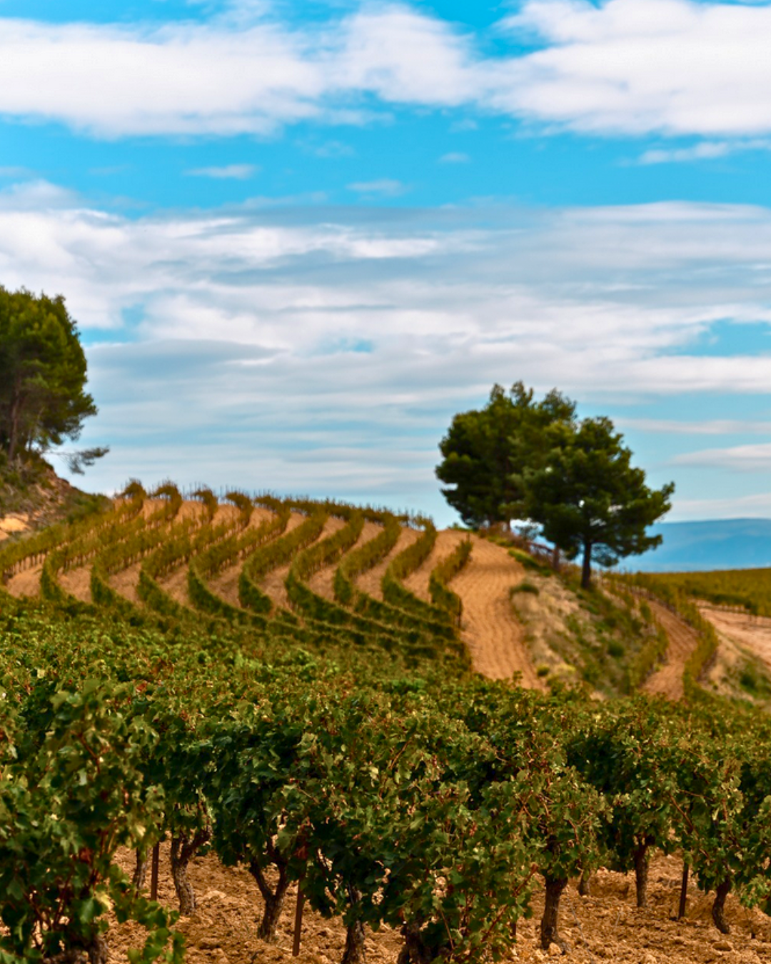 notre histoire domaine de durban